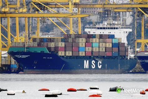 msc celine